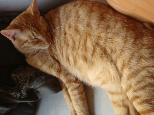 DSC01134.JPG