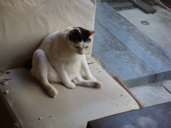 DSC01140.JPG