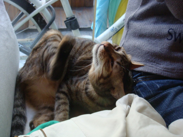 DSC01146.JPG