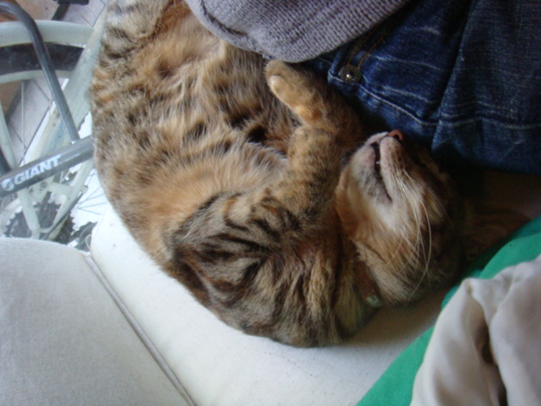 DSC01149.JPG