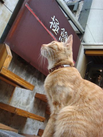 DSC01151.JPG