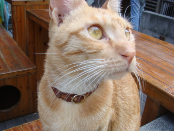 DSC01152.JPG