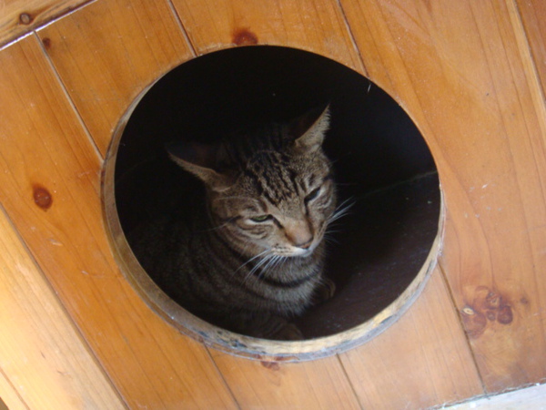 DSC01156.JPG