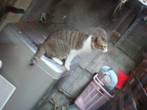 DSC01157.JPG