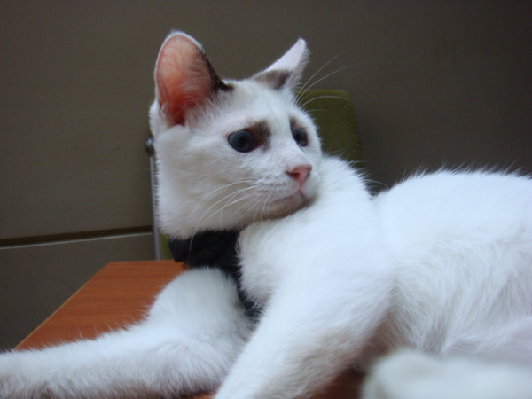 DSC01158.JPG