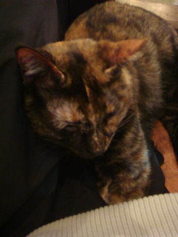 DSC01160.JPG