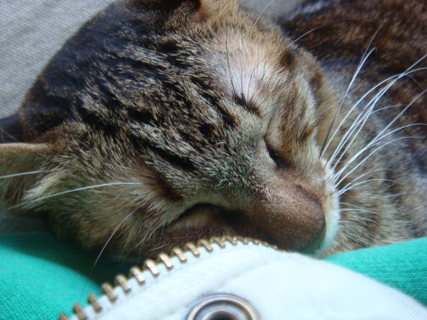 DSC01164.JPG