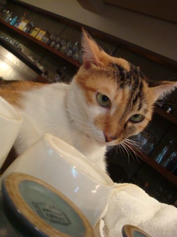 DSC01166.JPG