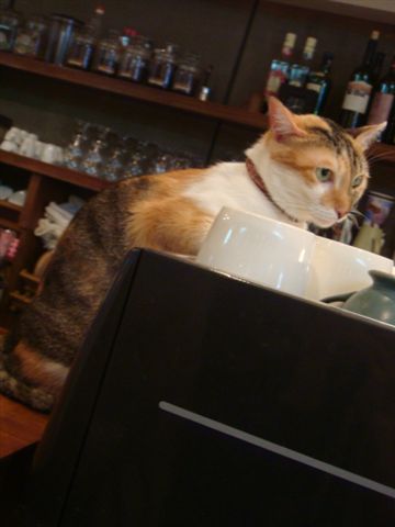 DSC01167.JPG