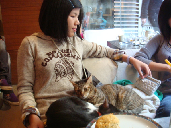 DSC01177.JPG