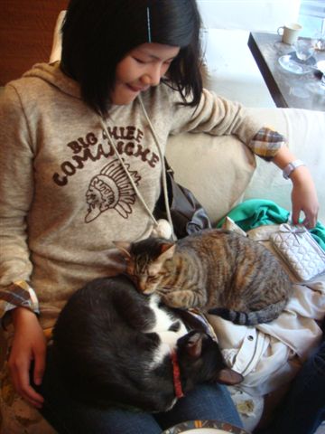 DSC01178.JPG