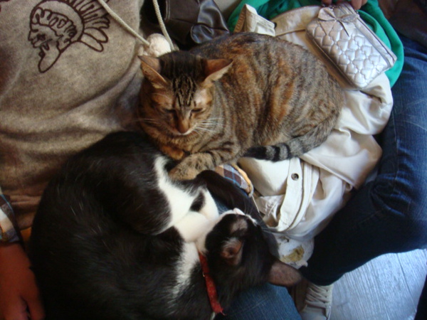 DSC01179.JPG