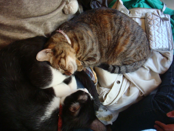 DSC01181.JPG