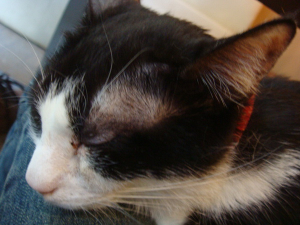 DSC01192.JPG