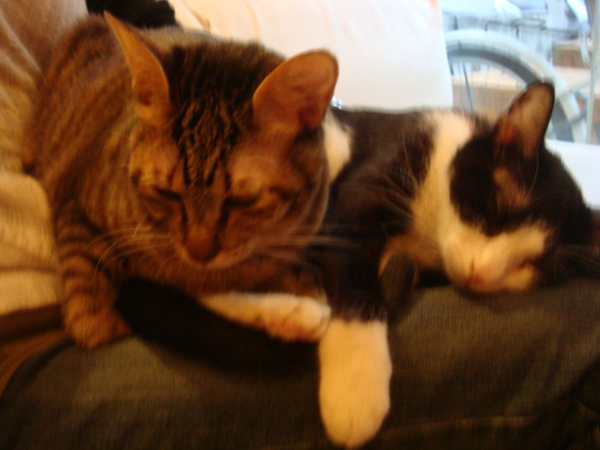 DSC01193.JPG