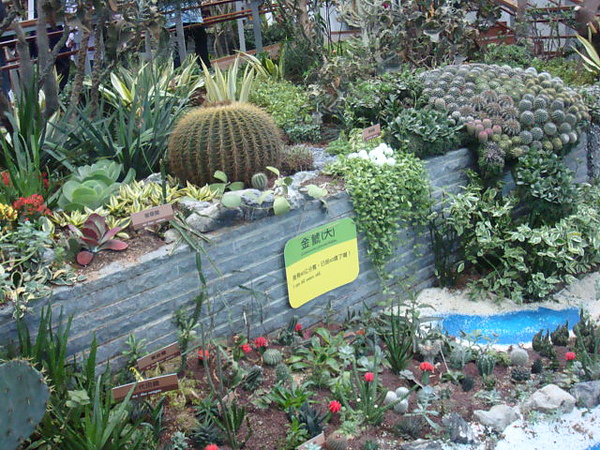 DSC02047.JPG