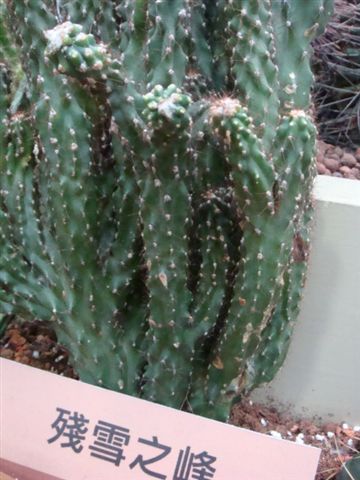 DSC02059.JPG