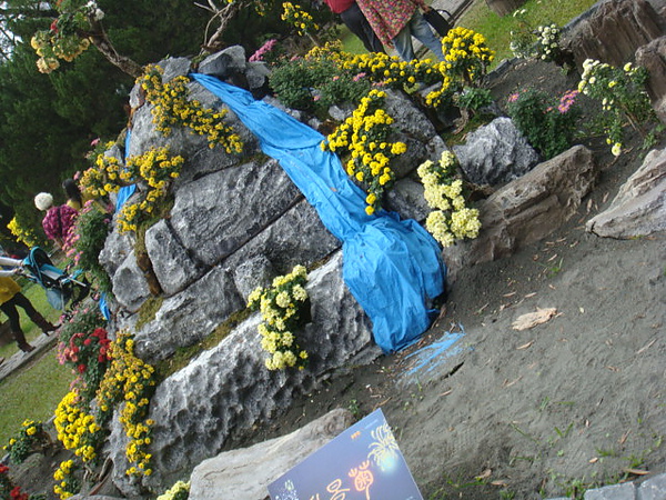DSC01853.JPG