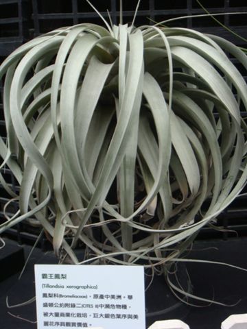 DSC02019.JPG