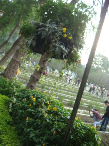 DSC01821.JPG