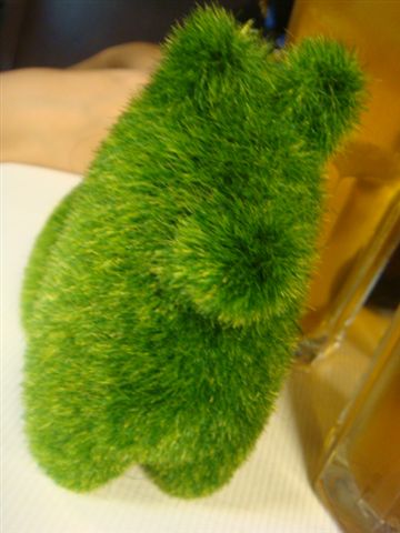 DSC01625.JPG