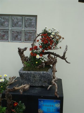 DSC01854.JPG