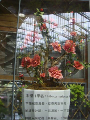 DSC02041.JPG