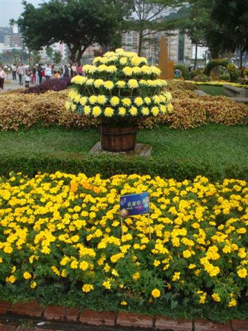DSC01786.JPG