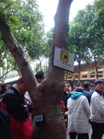 DSC02008.JPG