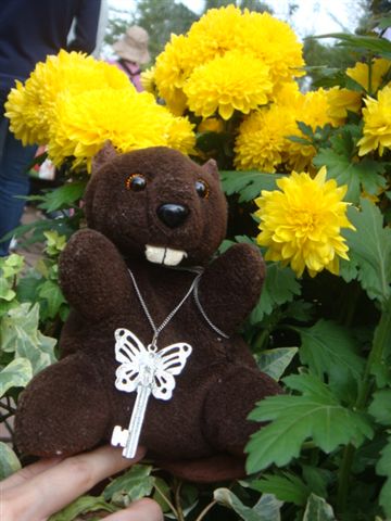 DSC01793.JPG