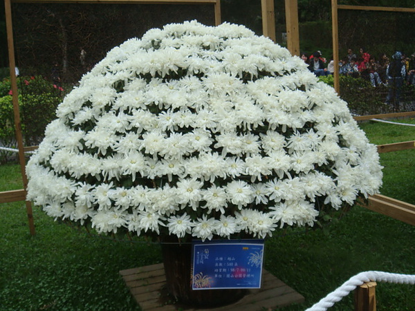 DSC01837.JPG
