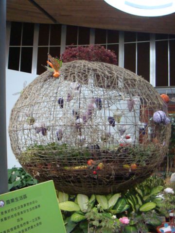 DSC02030.JPG