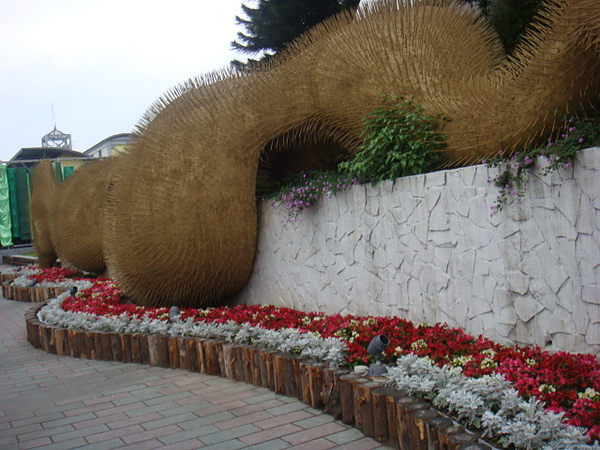 DSC01980.JPG