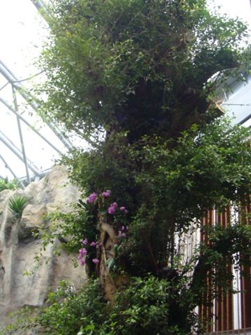 DSC02011.JPG