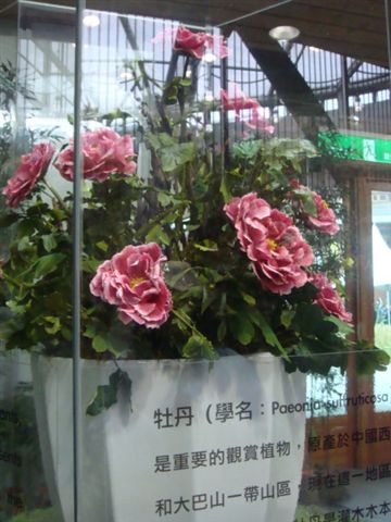 DSC02038.JPG