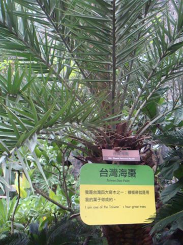 DSC02015.JPG