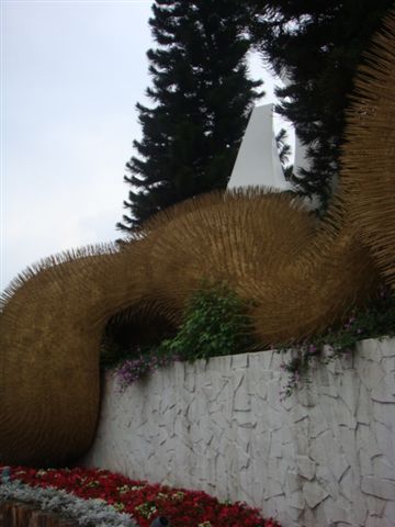 DSC01981.JPG