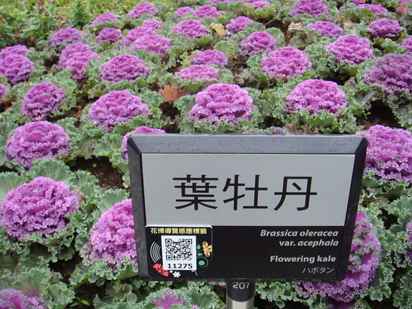DSC01998.JPG