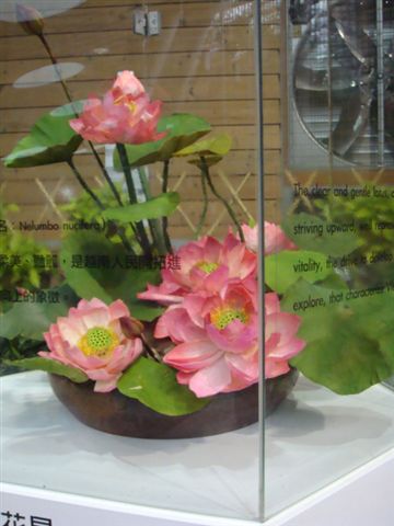 DSC02044.JPG