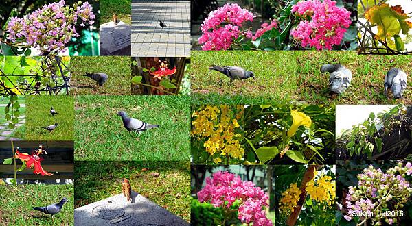 003-美術拼貼.jpg 003-美術拼貼.jpg