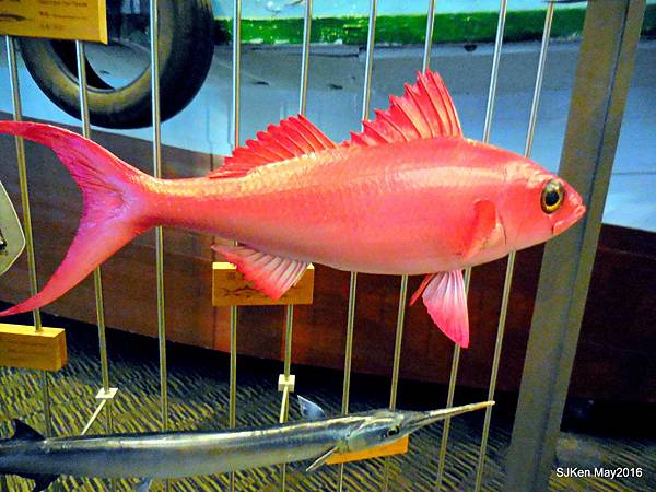 01-DSCN1043.JPG 01-DSCN1043.JPG