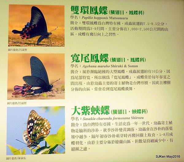 04-DSCN0969.JPG 04-DSCN0969.JPG