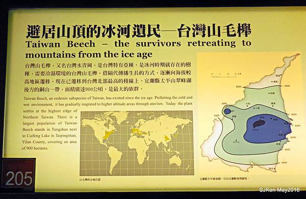 12-DSCN0980.JPG 12-DSCN0980.JPG