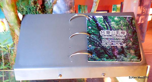 13-DSCN0979.JPG 13-DSCN0979.JPG