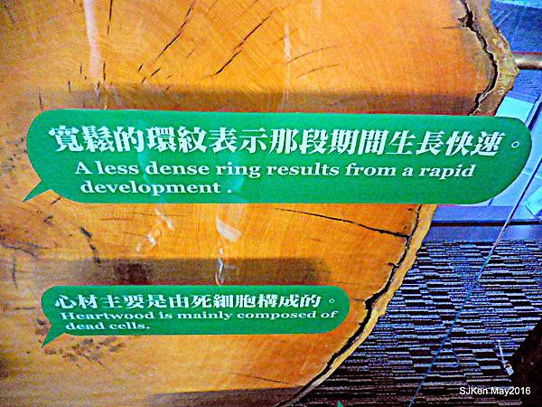 19-DSCN0987.JPG 19-DSCN0987.JPG