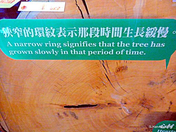 21-DSCN0986.JPG 21-DSCN0986.JPG