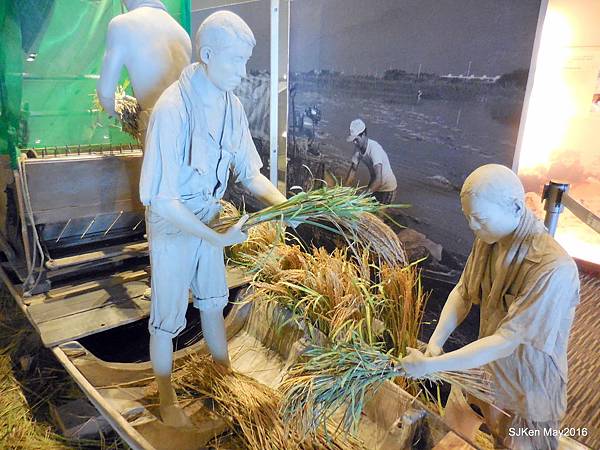 48-DSCN1016.JPG 48-DSCN1016.JPG