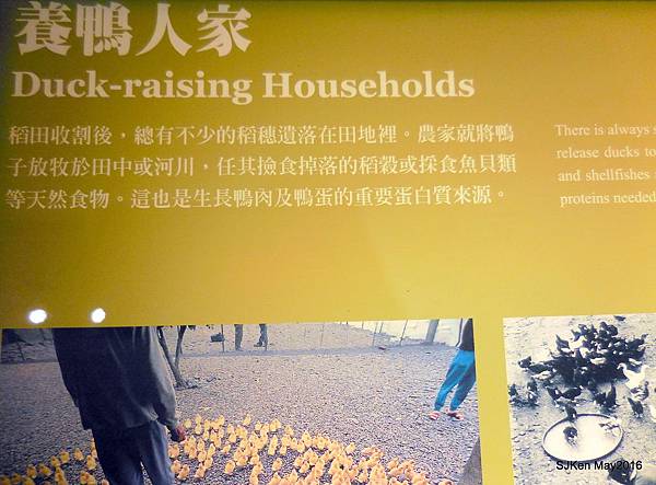 58-DSCN1028.JPG 58-DSCN1028.JPG