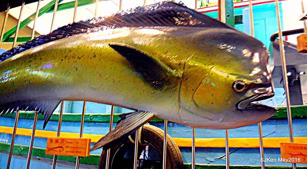 64-DSCN1044.JPG 64-DSCN1044.JPG