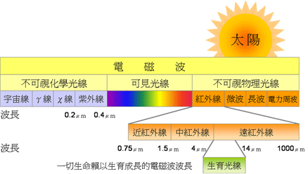 生育光波.gif